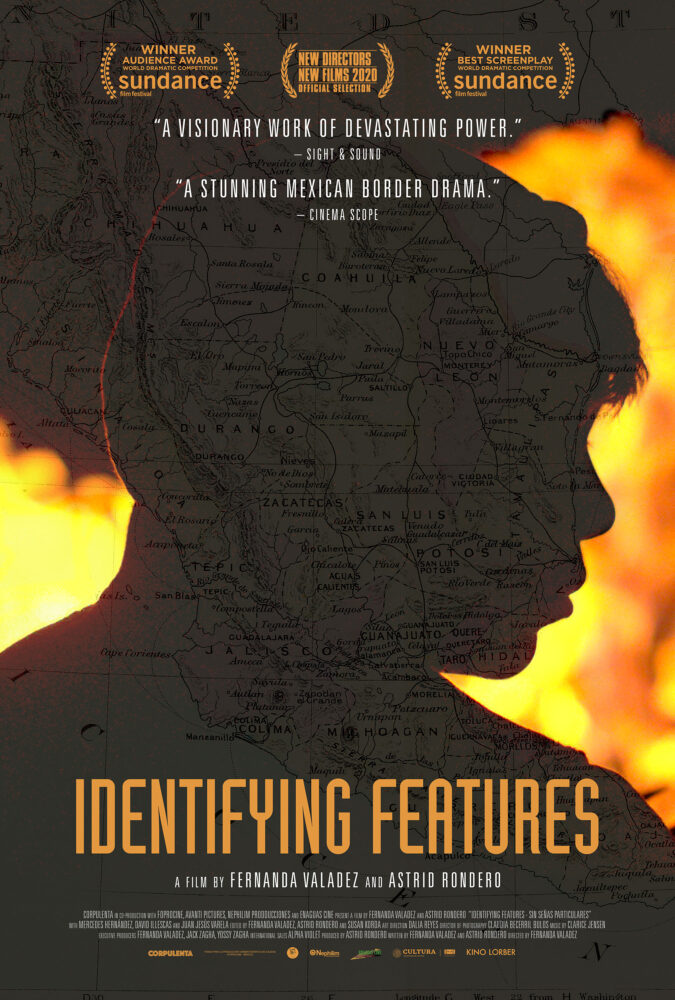 identifying features poster